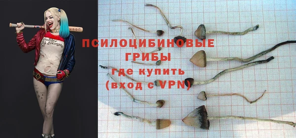 бошки Приозерск